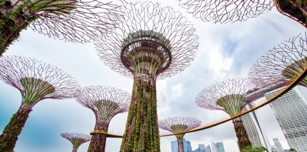 Gardens by the Bay - Singapore