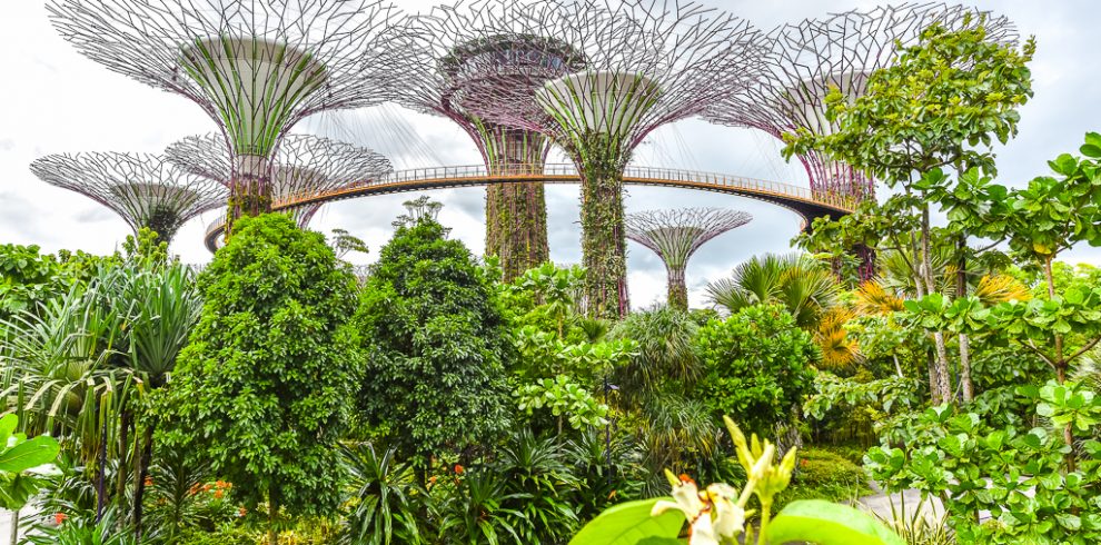 Gardens by the Bay - Singapore