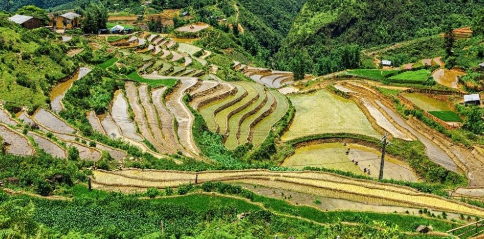 Giang Ta Chai Village - Sapa - Lao Cai - Vietnam