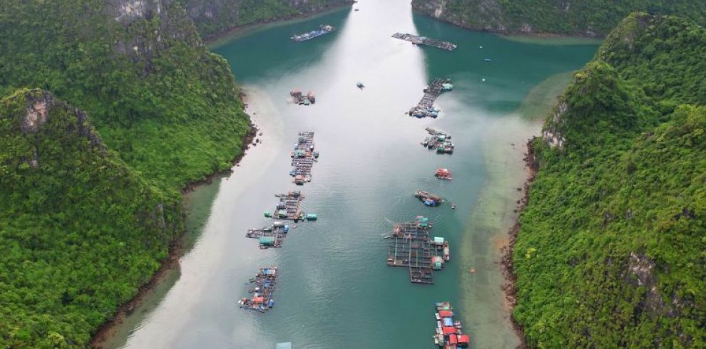 Floating Fishing Village - Halong Bay - Quang Ninh - Vietnam