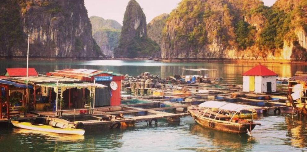 Floating Fishing Village - Halong Bay - Quang Ninh - Vietnam