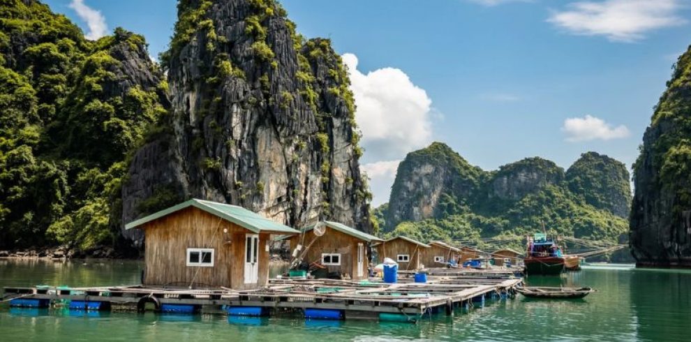 Floating Fishing Village - Halong Bay - Quang Ninh - Vietnam