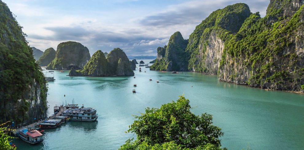 Amazing Cave - Halong Bay - Quang Ninh - Vietnam