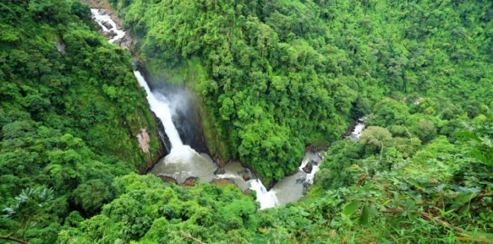 Khao Yai National Park - Thailand