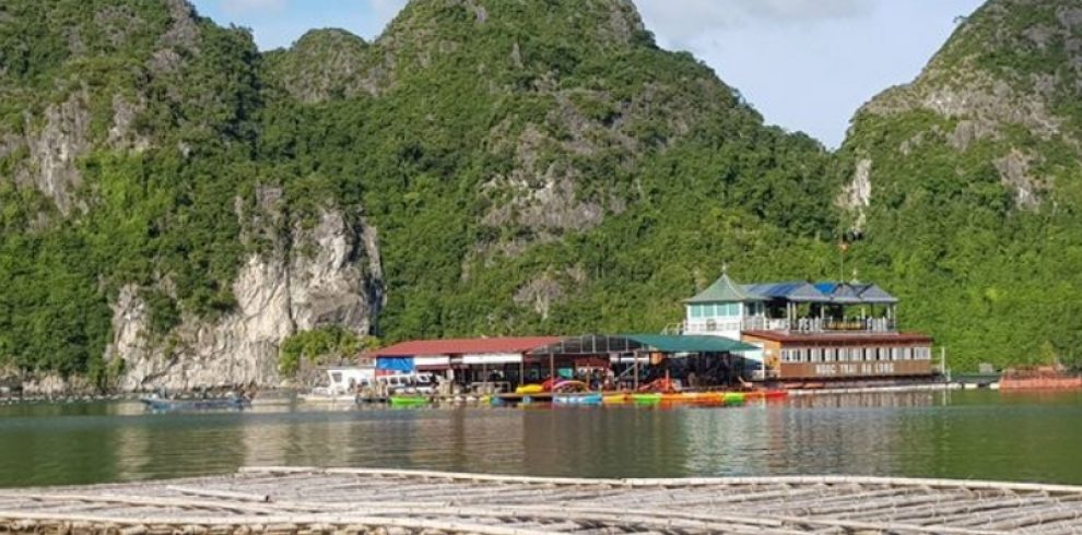 Pearl Farm Village - Halong Bay - Quang Ninh - Vietnam