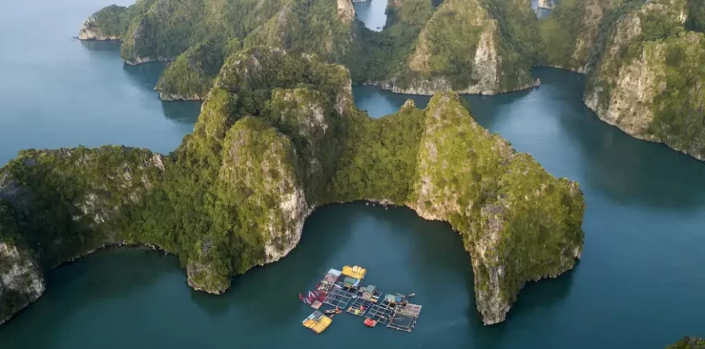 Ga Choi Islet - Halong Bay - Quang Ninh - Vietnam