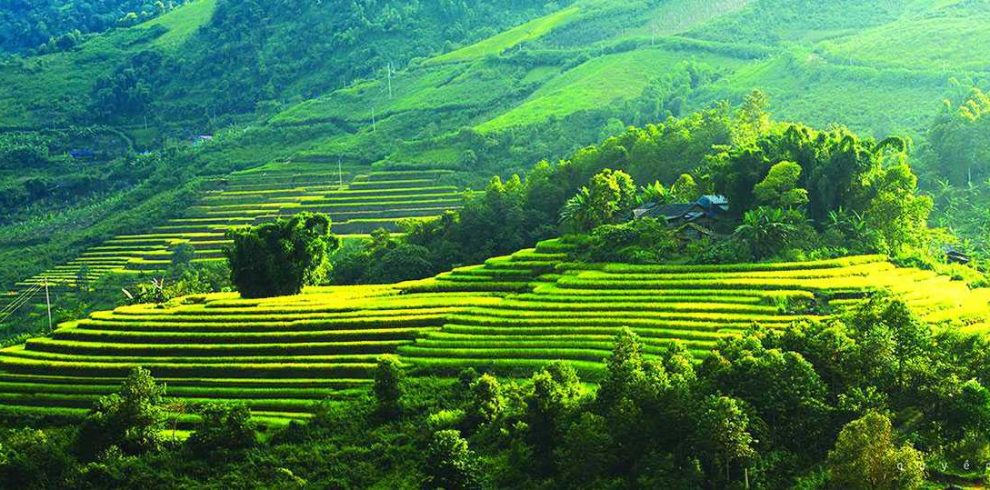 Poom Coong Village - Mai Chau - Hoa Binh - Vietnam