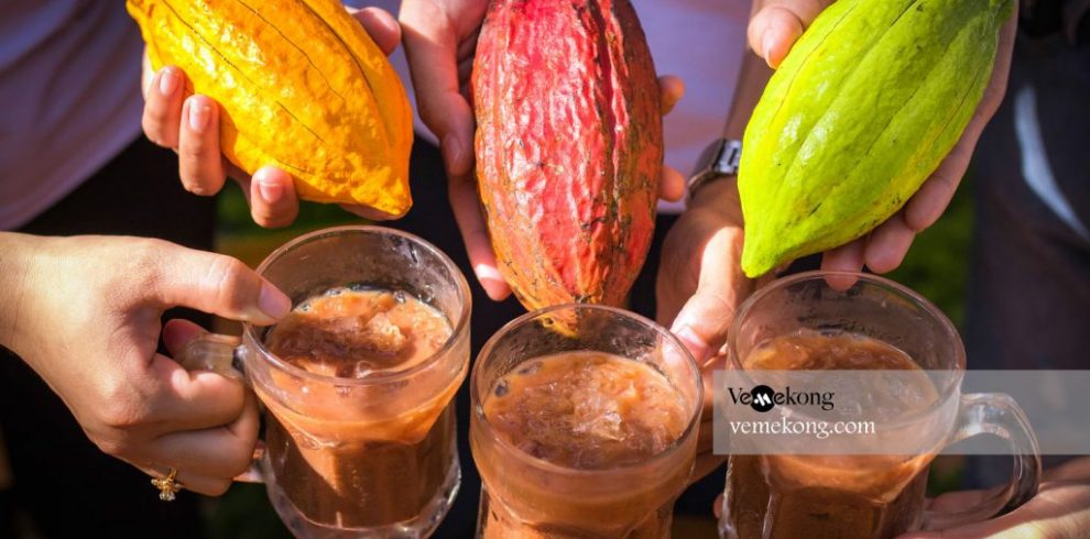 Cocoa Farms - Can Tho - Vietnam