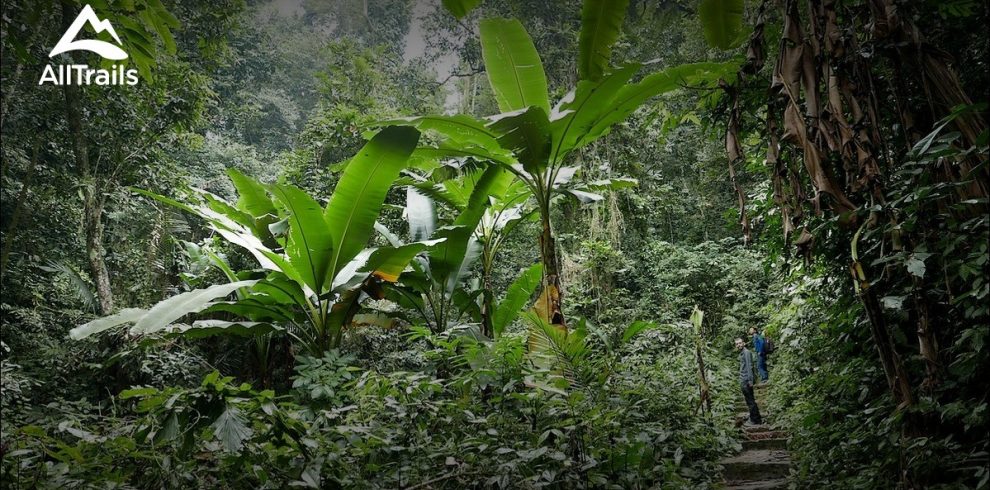 Cuc Phuong National Park - Ninh Binh - Vietnam