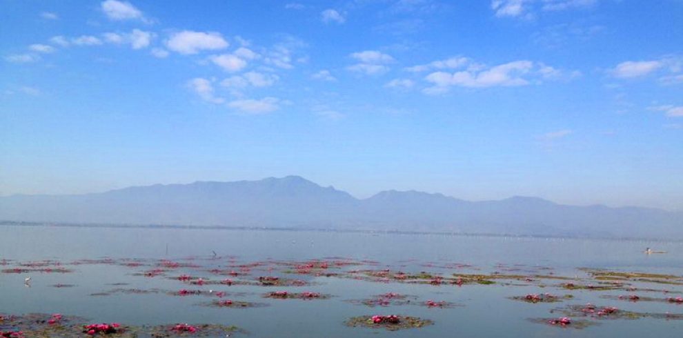 Phayao Lake - Thailand