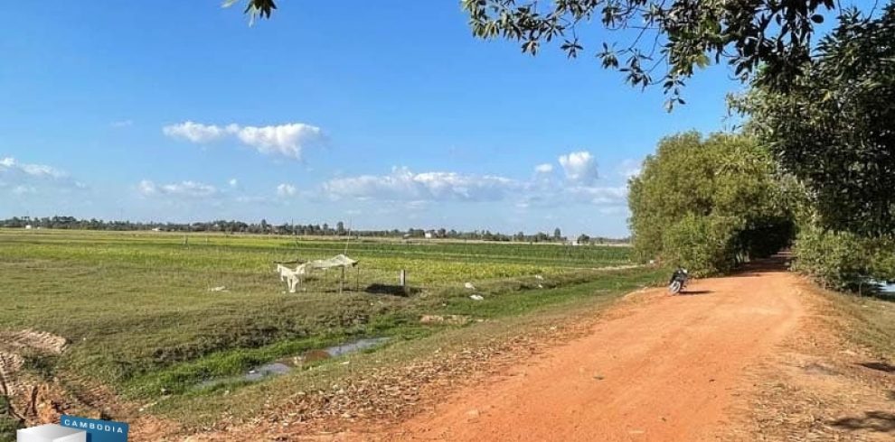 Pouk district - Siem Reap - Cambodia