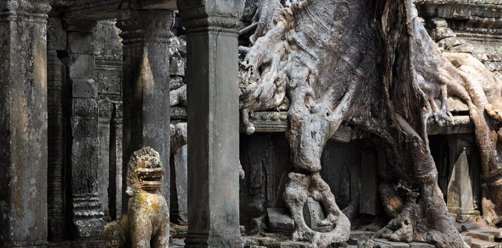 Preah Khan Temple - Siem Reap - Cambodia