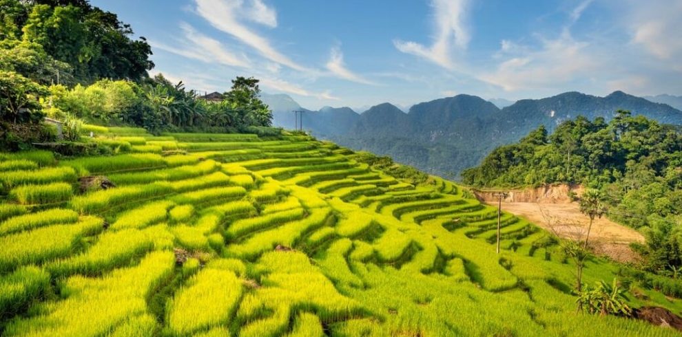 Pu Luong National Park - Thanh Hoa - Vietnam