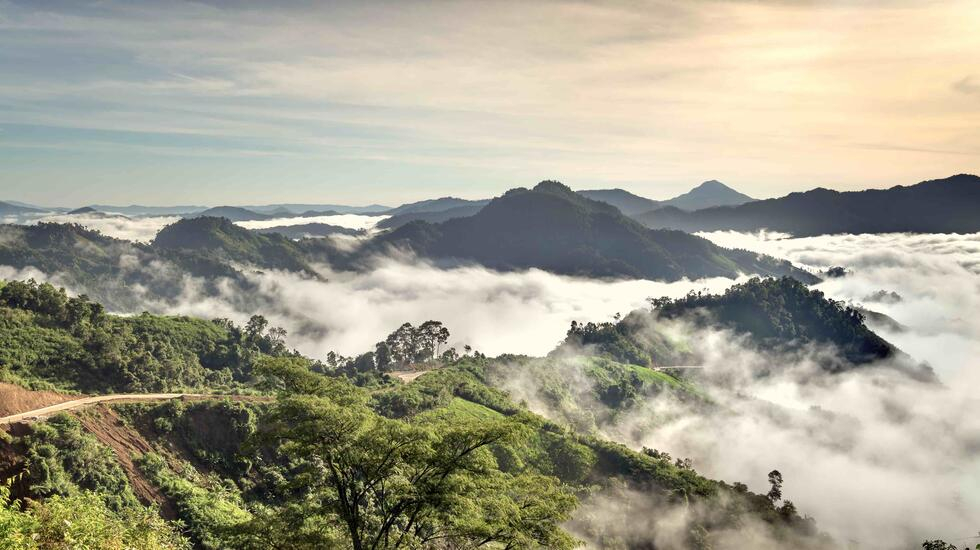 Quang Nam - Vietnam