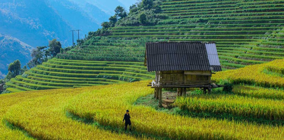 Palace of the H’mong King - Bac Ha - Lao Cai - Vietnam