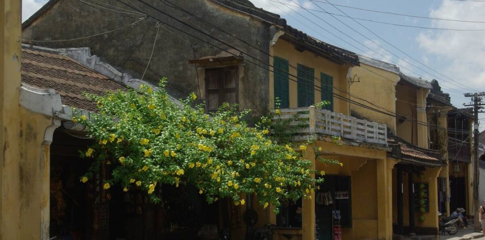 Chinese Quarter - Hoi An - Quang Nam - Vietnam