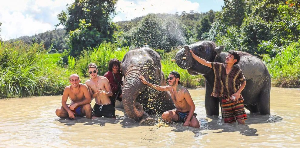 Elephant Sanctuary - Chiang Mai - Thailand